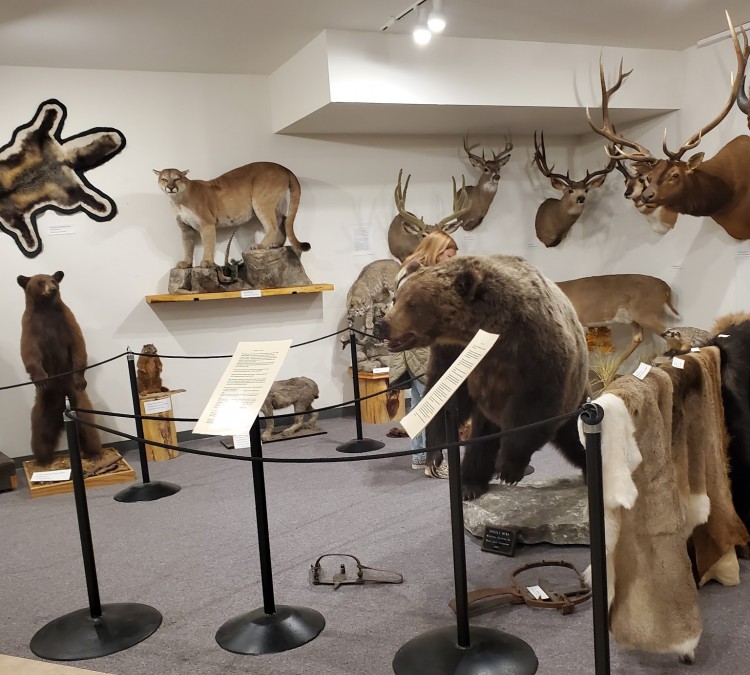Teton Valley Historical Museum (Driggs,&nbspID)